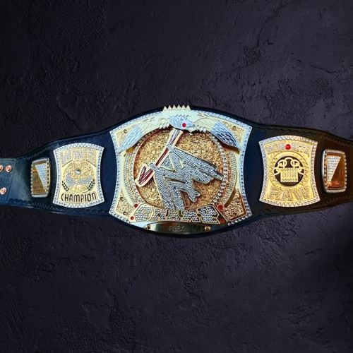 Wwe championship spinner - championship,