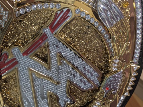 Wwe championship john cena - wwe,