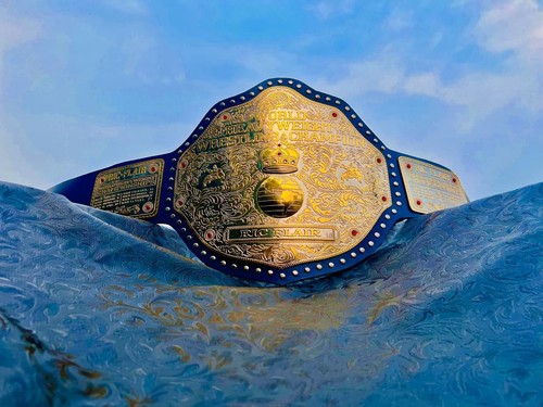 Cintura titolo ric flair - titolo,