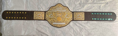 Cintura titolo replica wwe big - titolo,